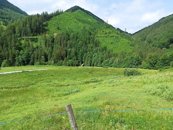 Faszinierende Radtour entlang der Enns