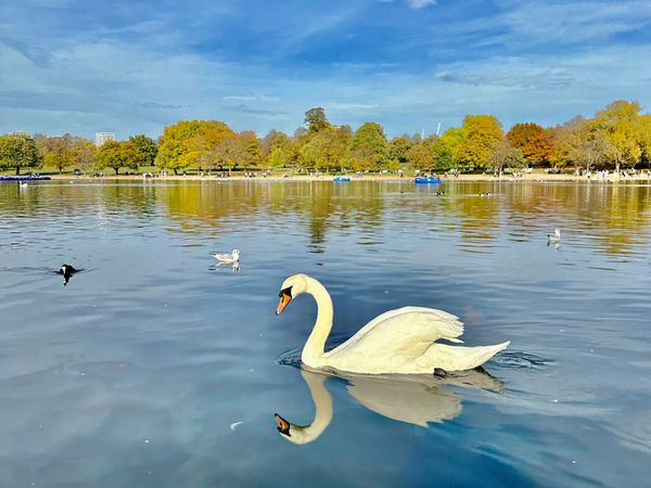 Entspannung und Aktivitäten im Grünen