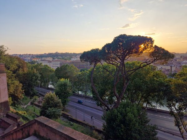 Romantischer Sonnenuntergang umgeben von duftenden Orangenbäumen