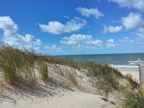 Entspanne am malerischen Strand von Sylt