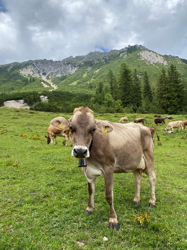 Familienabenteuer in der Natur