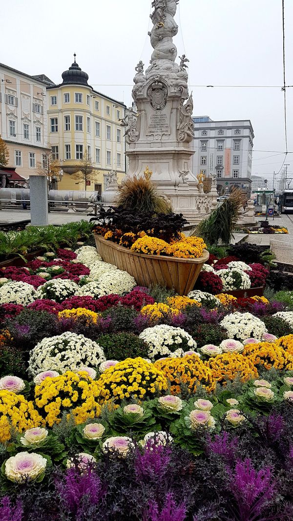 Historisches Flair im Zentrum