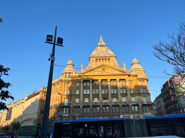 Grüne Oase in der Stadt