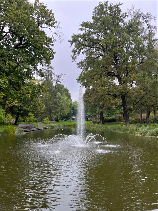 Entspannung im grünen Herzen Fuldas