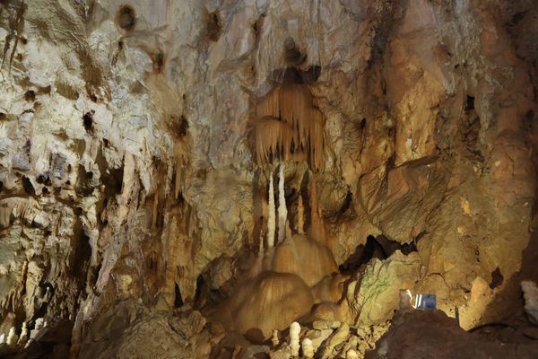 Entdecke die geheimnisvolle Bärenhöhle