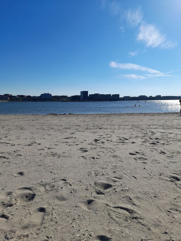 Amsterdams Strandparadies entdecken