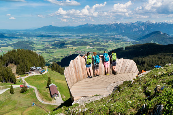 Lausche den Trommeln der Spechte