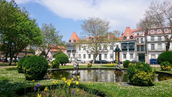 Grüne Oase am Flussufer