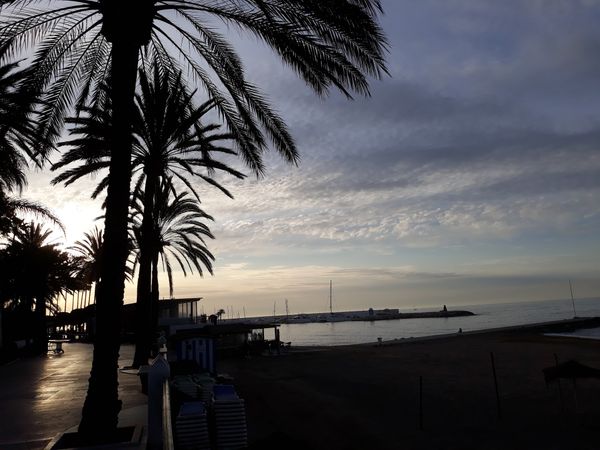 Magischer Spaziergang am Meer