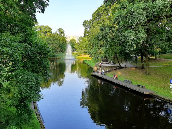 Grüne Oase in der Stadtmitte