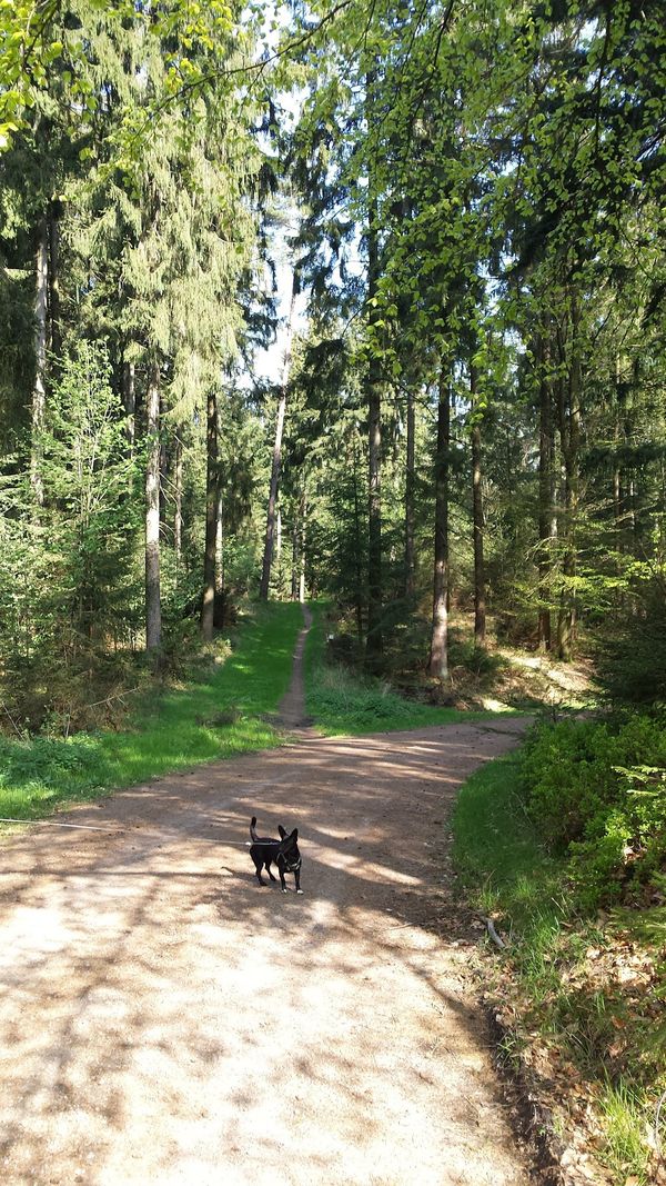 Naturabenteuer südlich der Elbe