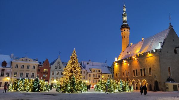 Herzstück Tallinns entdecken