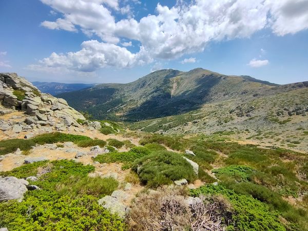 Natur pur am Stadtrand von Madrid