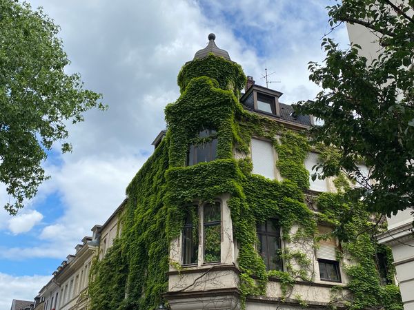 Gemütliches Frühstück im Luisenviertel