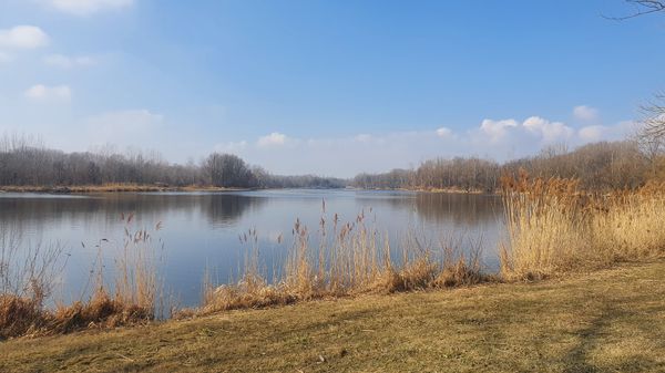 Entspannte Momente am Wasser in idyllischer Naturkulisse