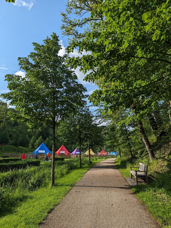 Abenteuerliche Pfade durch den Taunus