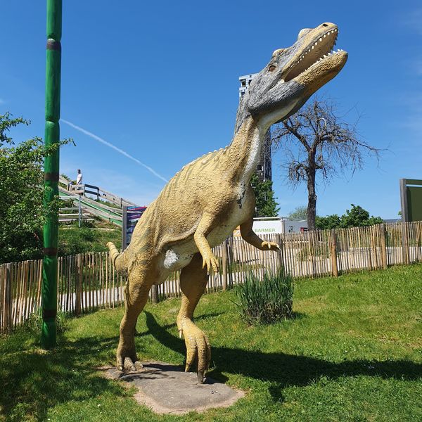 Auf den Spuren der Dinosaurier