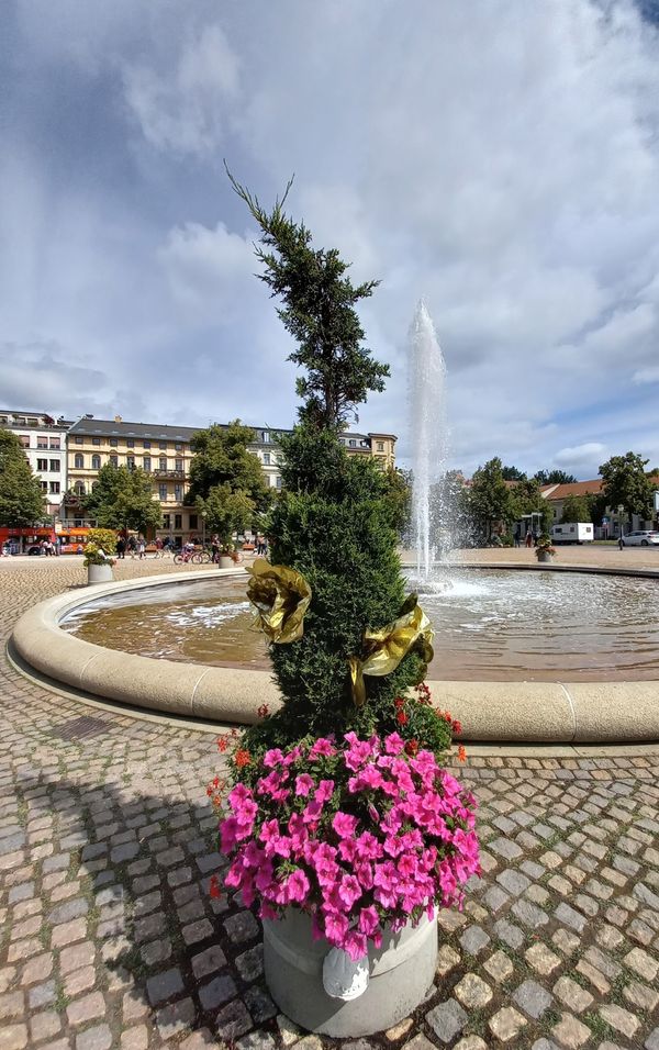 Verborgene Schönheiten in der Berliner Vorstadt