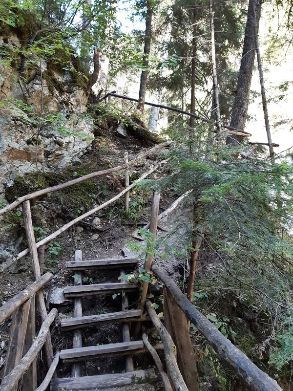 Mystische Brücke in der Natur