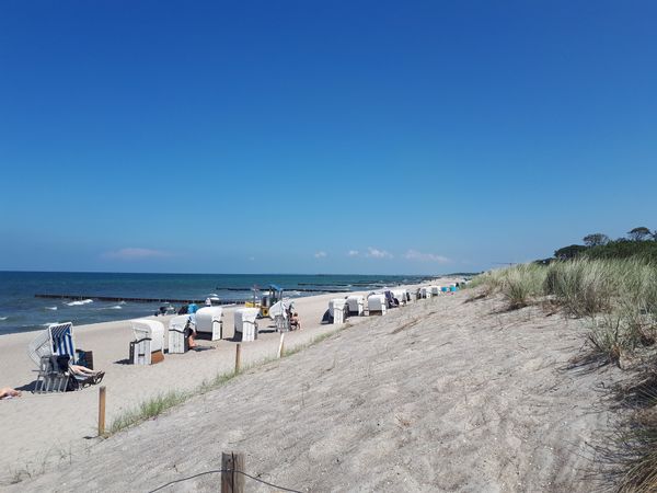 Magische Abende genießen