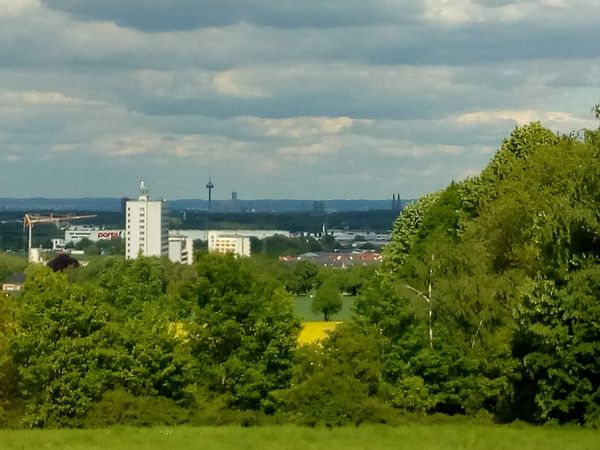 Aktive Erholung im Grünen