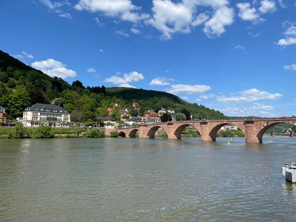 Tor zur Heidelberger Geschichte