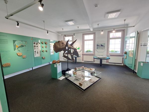 Zeitreise in die Urwelt: Fossilien, Dinosaurier und mehr hautnah erleben