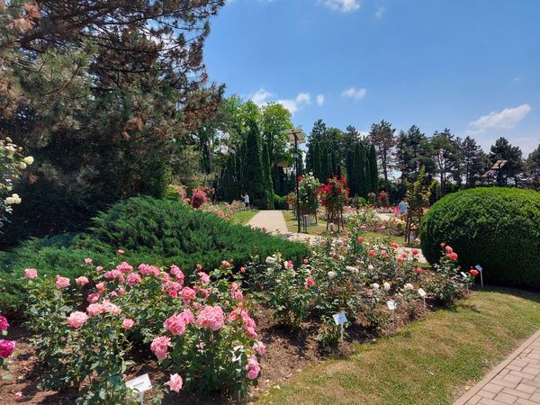 Größter botanischer Garten Rumäniens