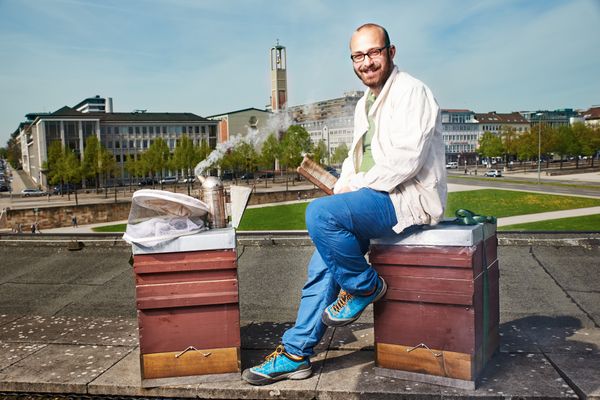 Süße Versuchung direkt aus Kassel