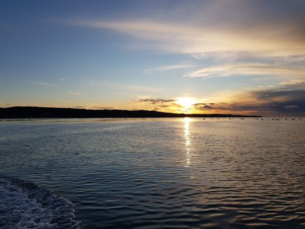 Nachhaltige Fischzucht kennenlernen