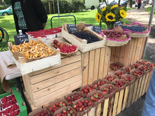 Schlemmen auf dem Food Market