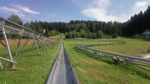 Rasante Abfahrt im Sommerrodelbahn-Spaß