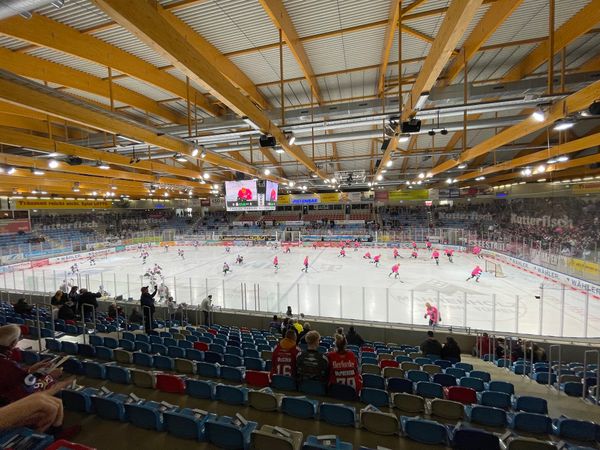 Mit den Pinguins Eishockey fiebern