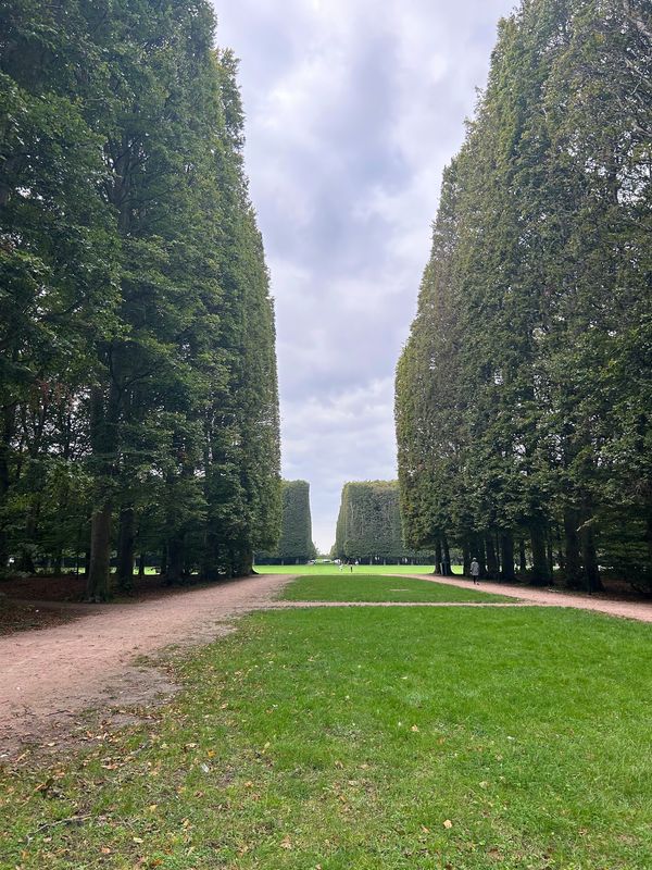 Grüne Oase der Ruhe