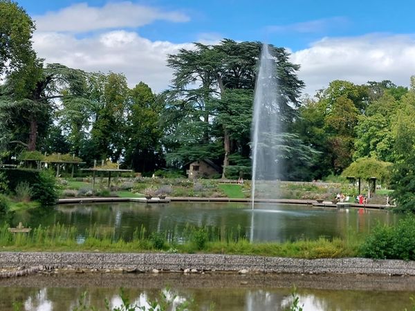 Blühende Wunder im botanischen Garten