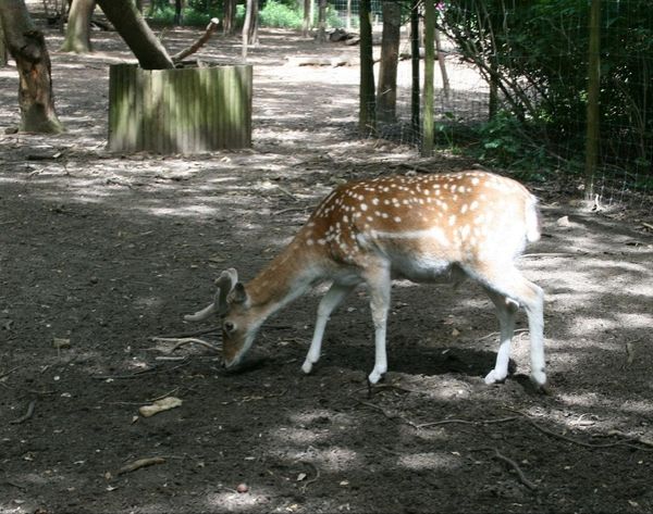 Naturerlebnis für die ganze Familie