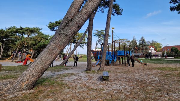 Abenteuer auf dem Waldspielplatz