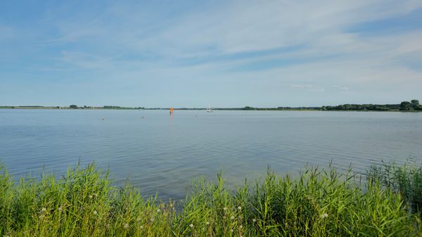 Setze die Segel in Greifswald