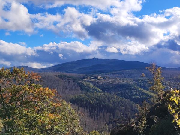 Abenteuer im Nationalpark Harz