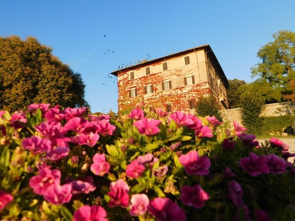 Weinproben in der malerischen Chianti-Region