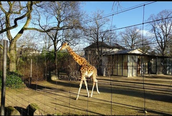 Tierische Abenteuer für die ganze Familie