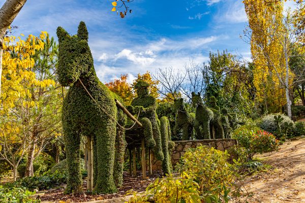 Magischer Park voller grüner Skulpturen