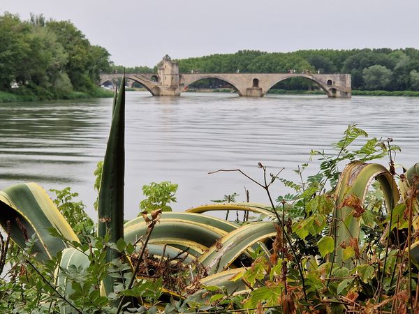 Essen mit malerischem Flussblick