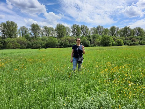 Geheimnisvolle Rheinauen und historische Wege