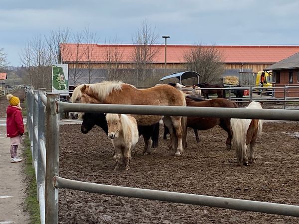 Reitabenteuer am Meer