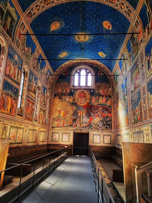 Bewundere Giottos Meisterwerke
