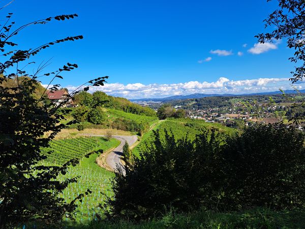 Erfrischende Wanderung entlang der Laßnitz