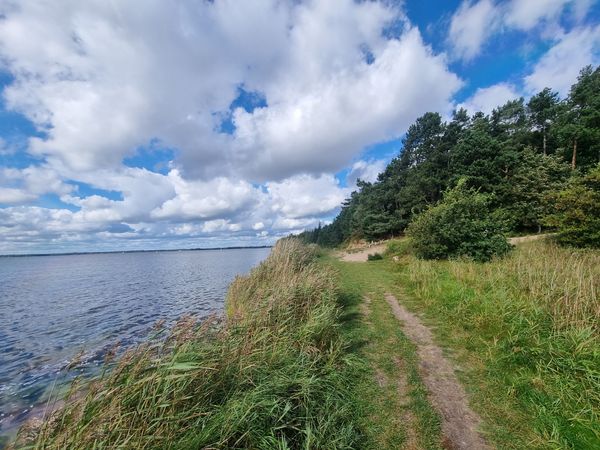 Natur pur am Fjord