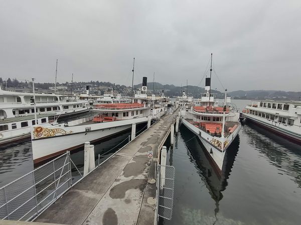 Auf dem Wasser Luzern erleben