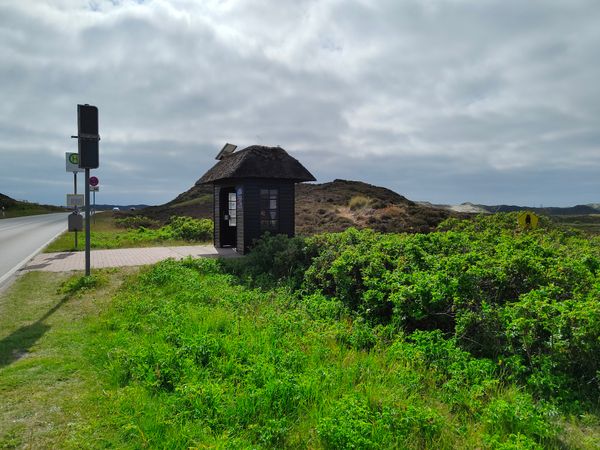 Bewegende Naturwunder auf Sylt